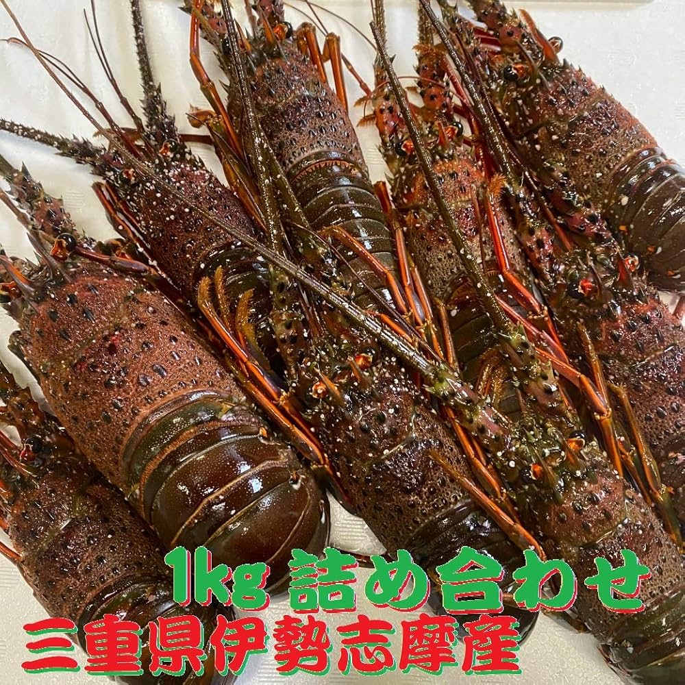 Amazon | ○三重県伊勢志摩産 冷凍伊勢海老【1kg入の詰め合わせ